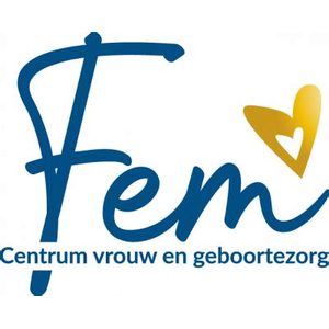 Fem Fem